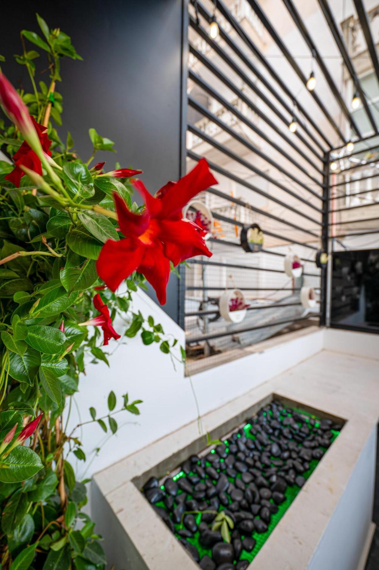 Mato Luxury Apartments Sarandë Exteriér fotografie